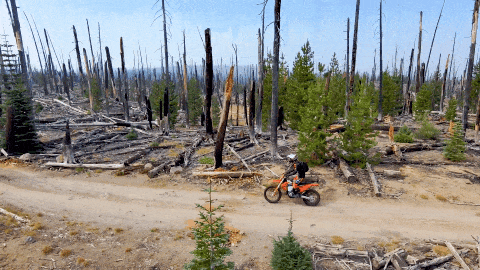 Skydio 2 dodging trees following dirt bike