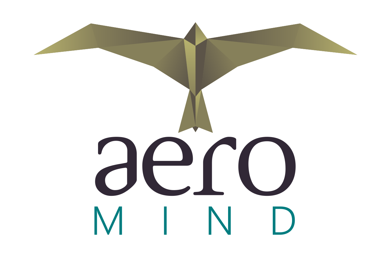 Aero Mind logo