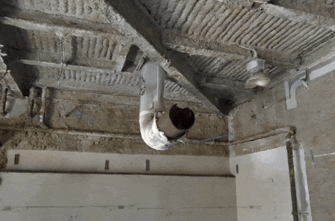 pipe 3d indoor capture