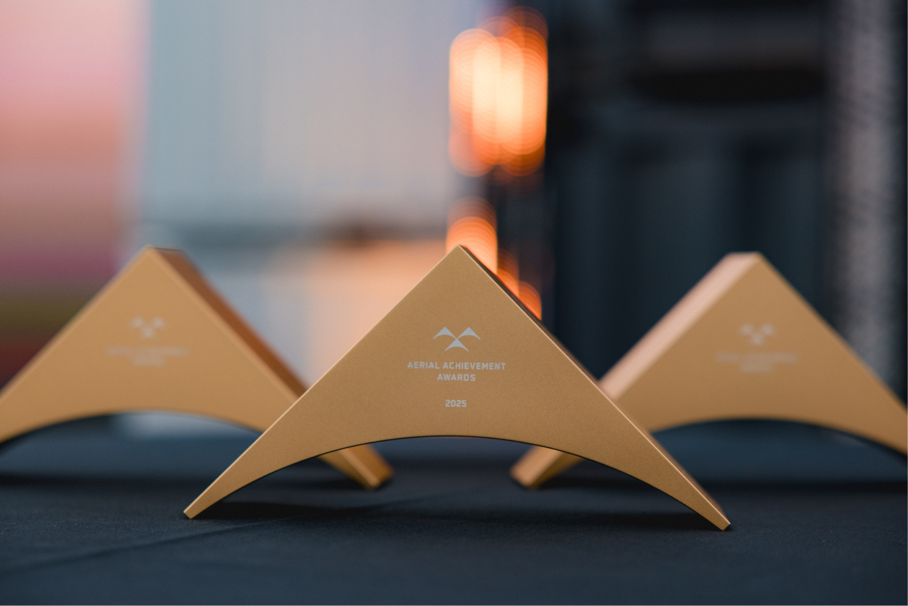 Row of the Skydio Aerial Acheivement Award trophies 