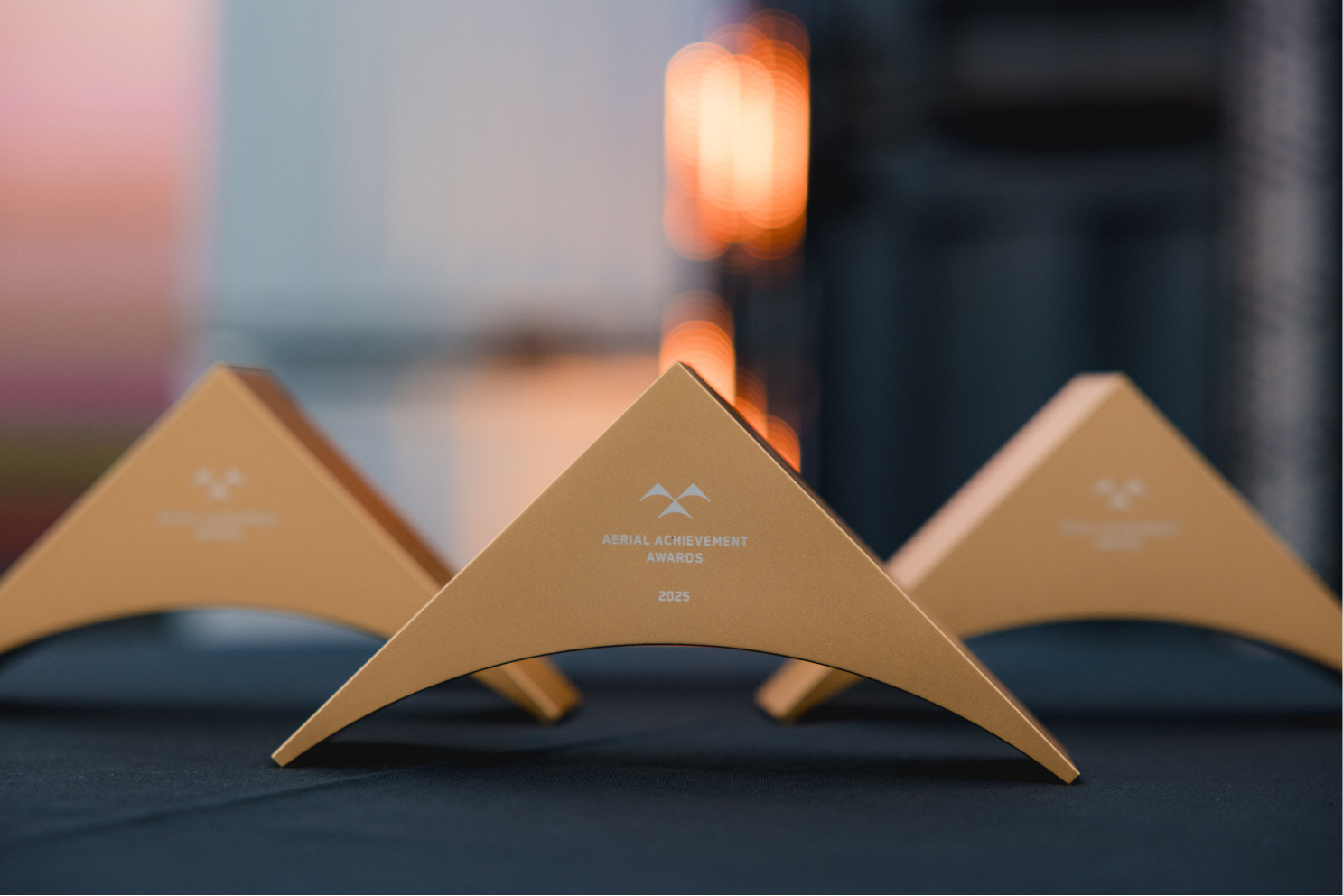 Row of the Skydio Aerial Acheivement Award trophies