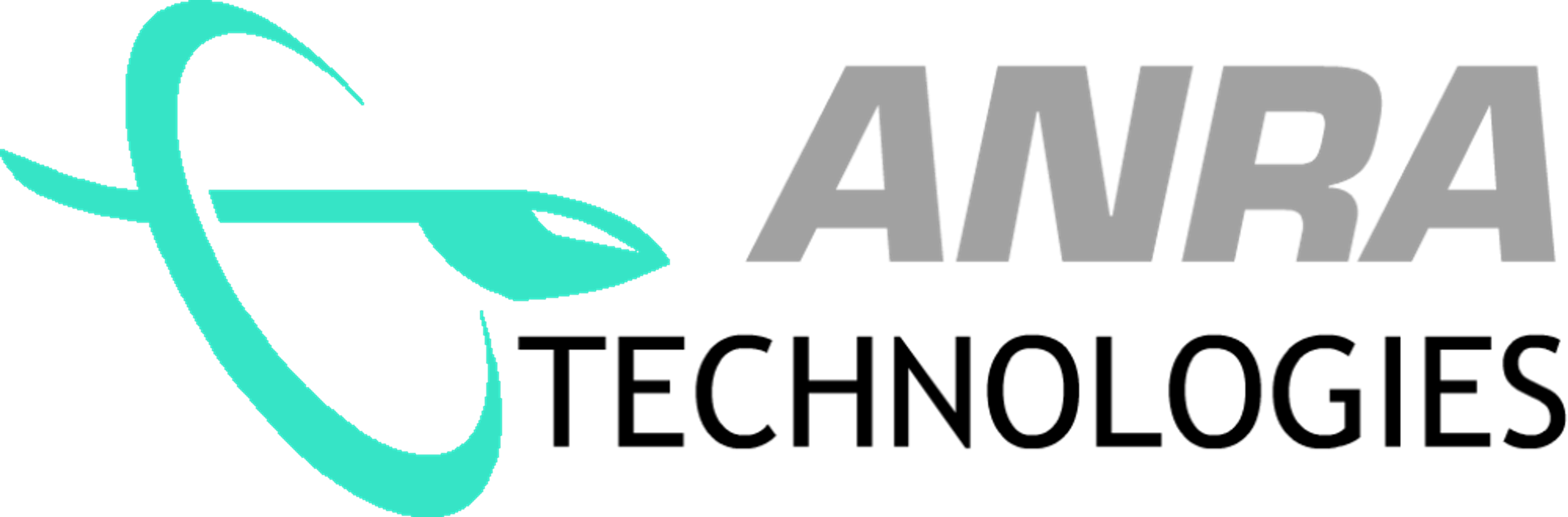 logo of Skydio Extend integration partner Anra Technologies