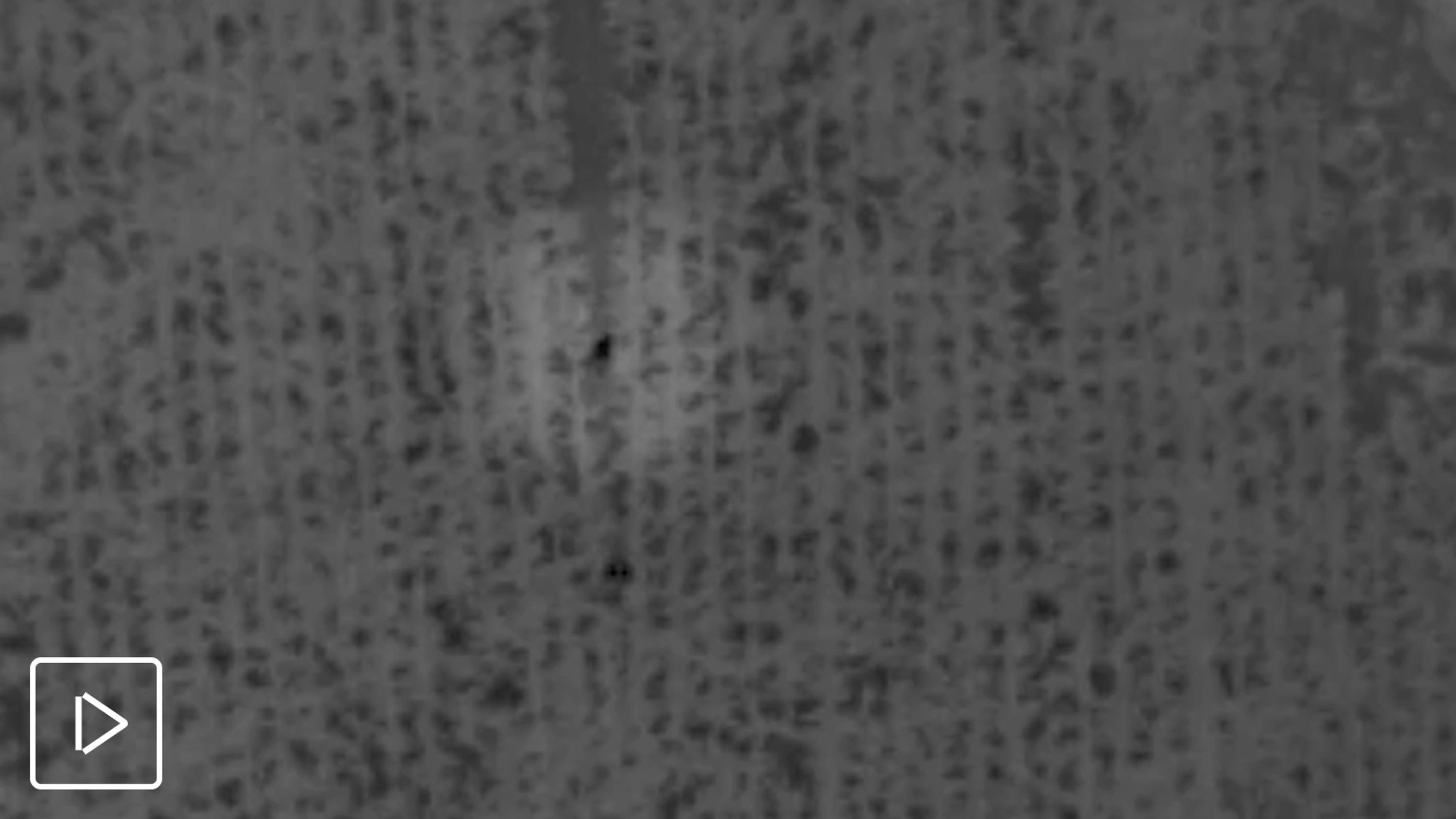 thermal image of two peopl from Skydio drone