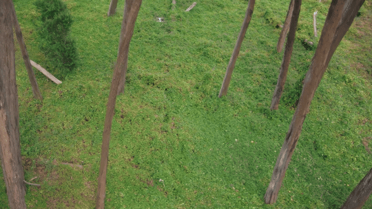 two x10d drones flying in same airspace with deconfliction