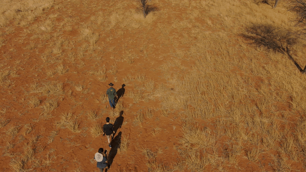 Berend circling two rhino tracks as the Skydio 2 tracks him.