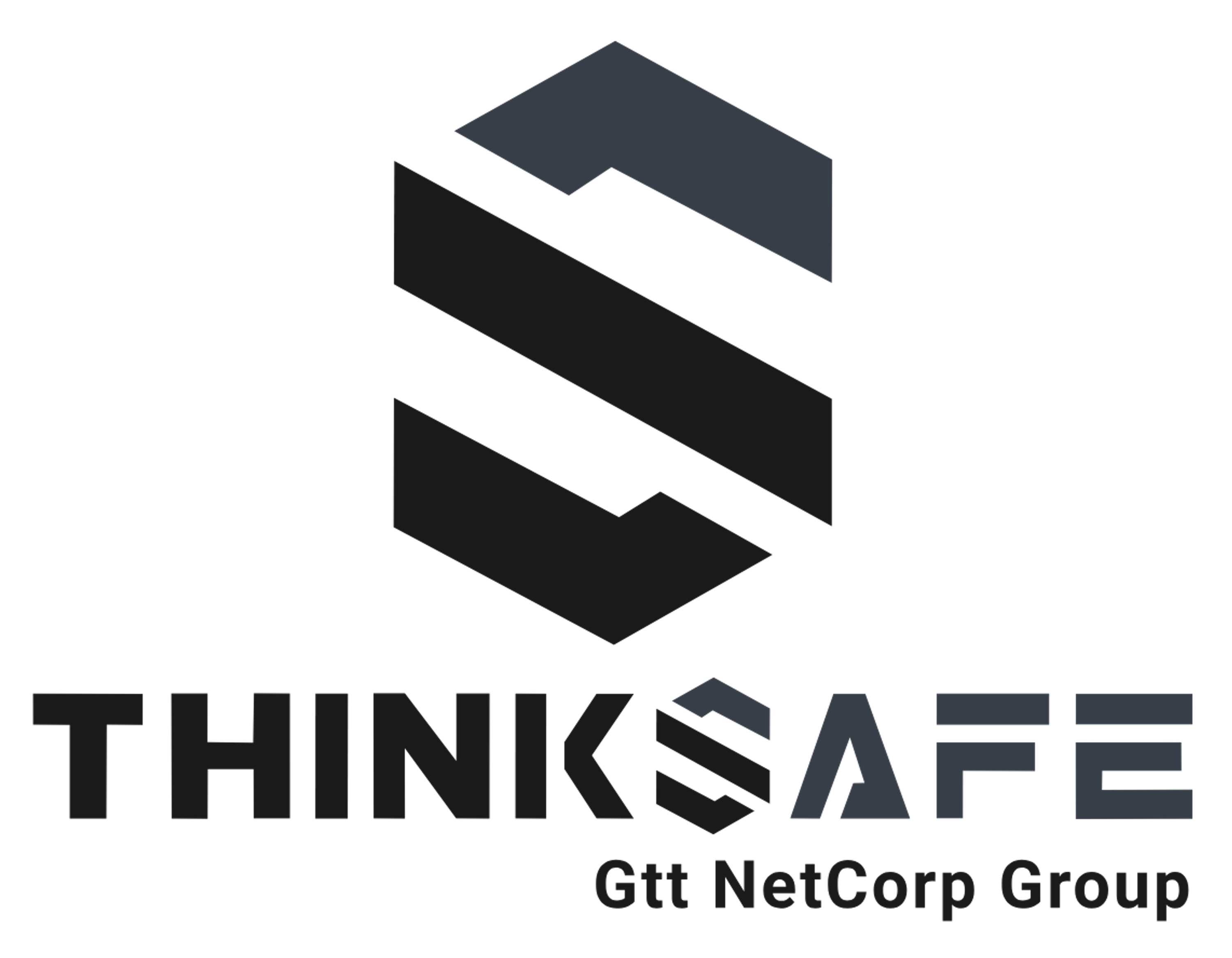 ThinkSafe Gtt NetCorp Group logo