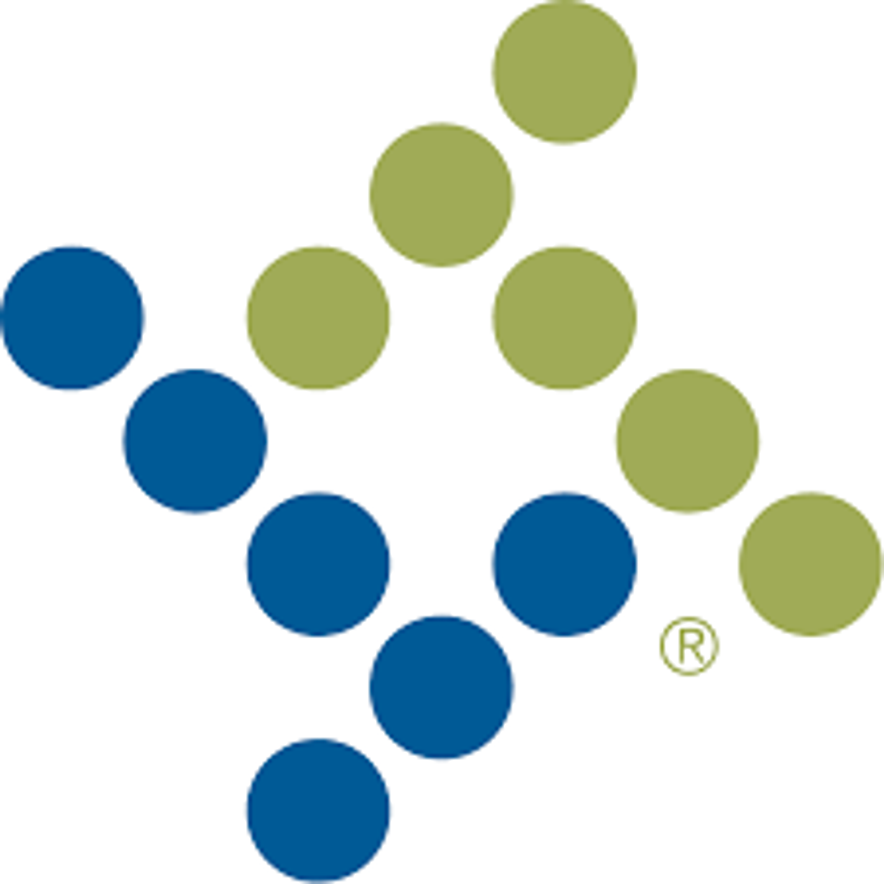 logo of Skydio Extend integration partner Tyler Technologies