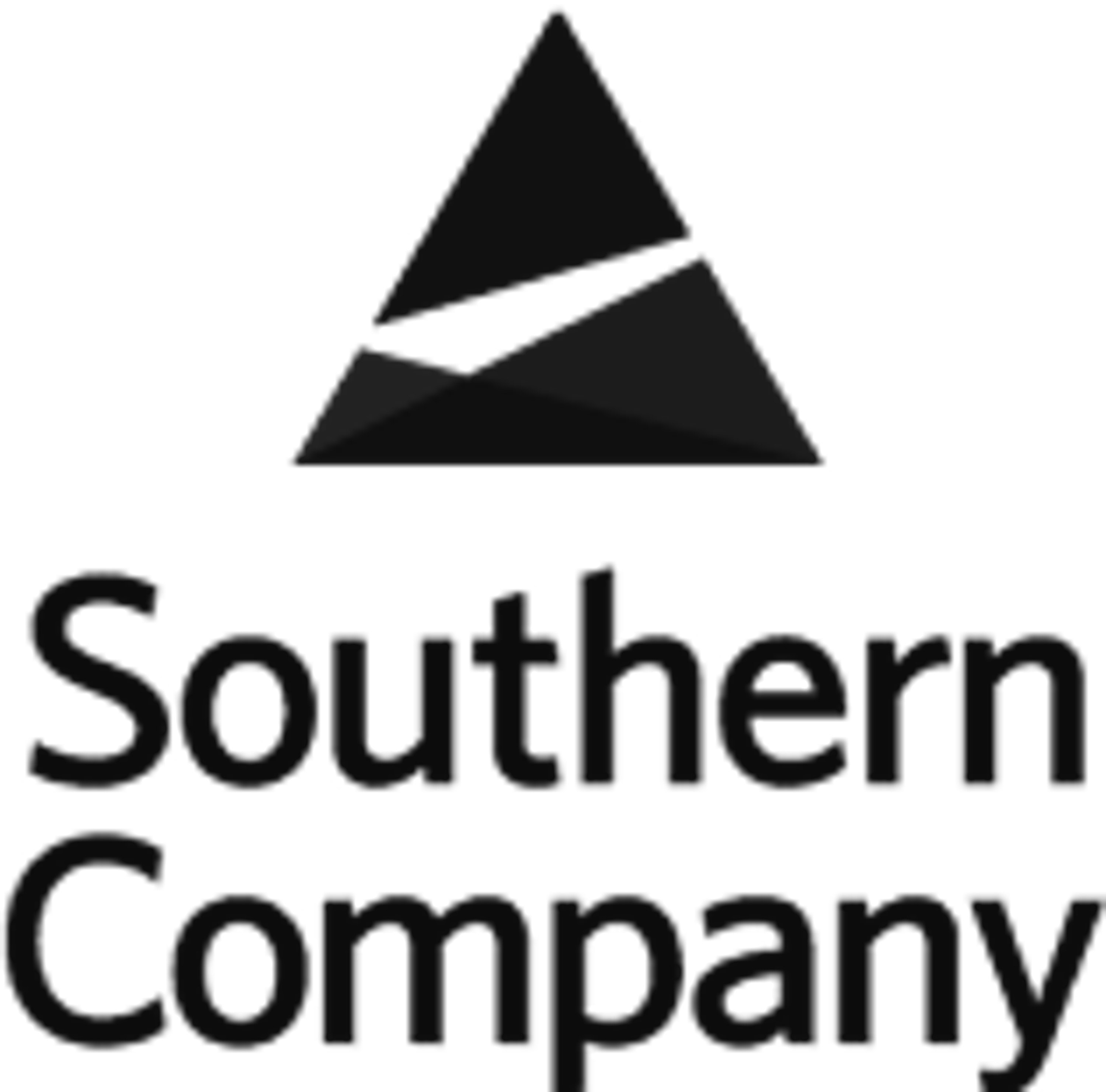 logo of Skydio customer Southern Company