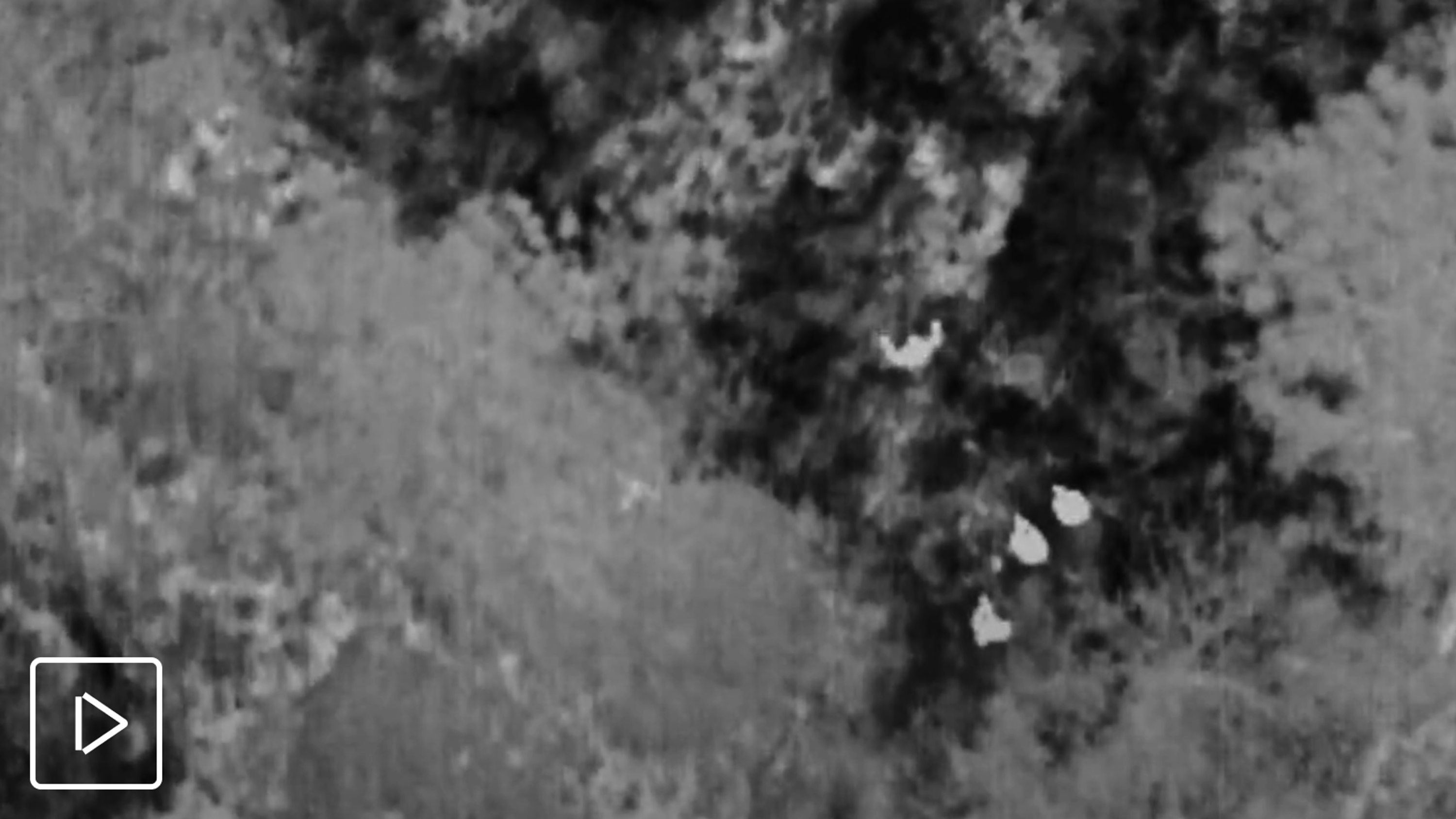 thermal image of people captured with Skydio drone