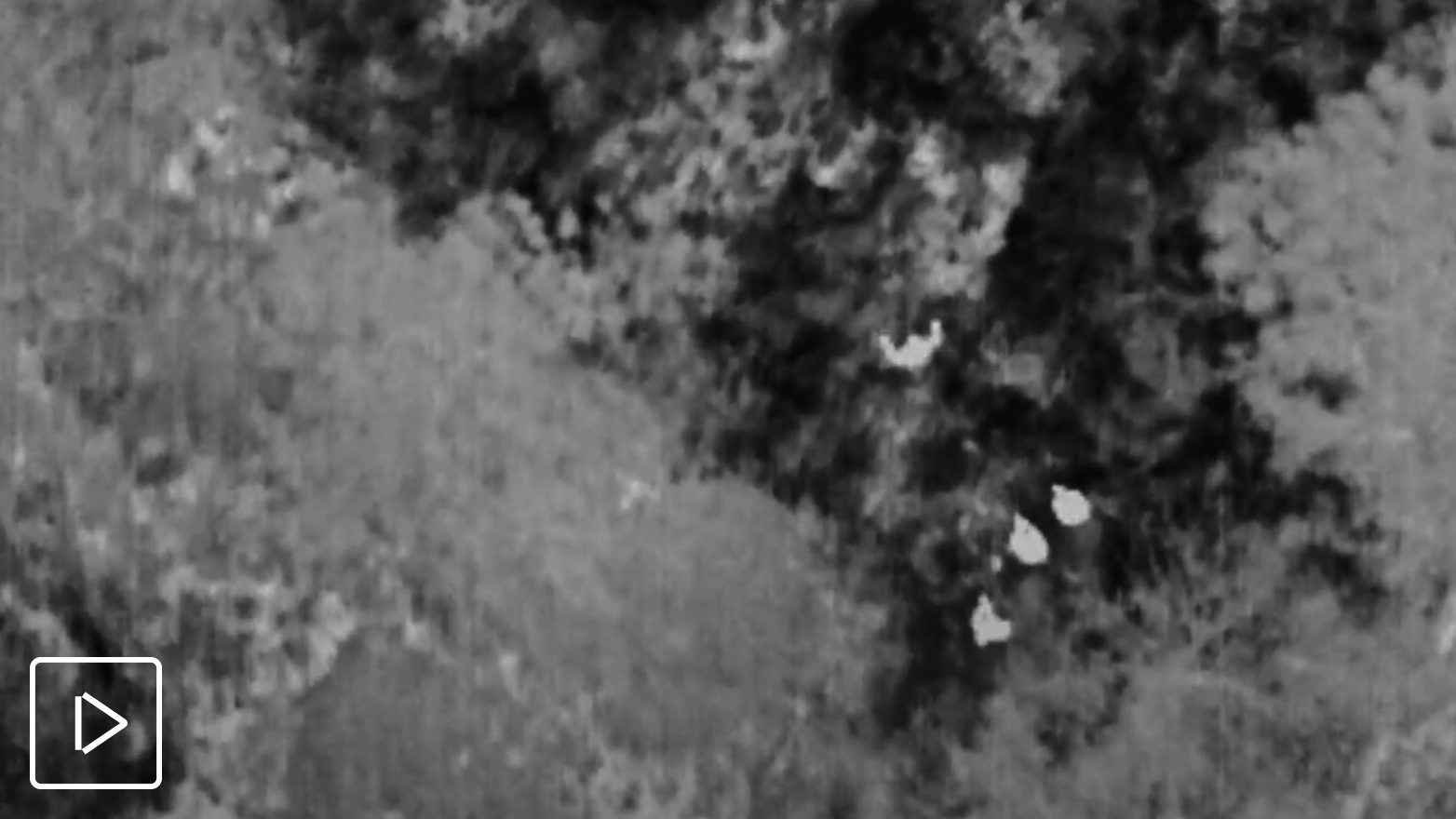 thermal image of people captured with Skydio drone