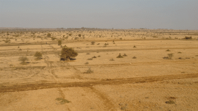 Naretunoi Community Conservancy
