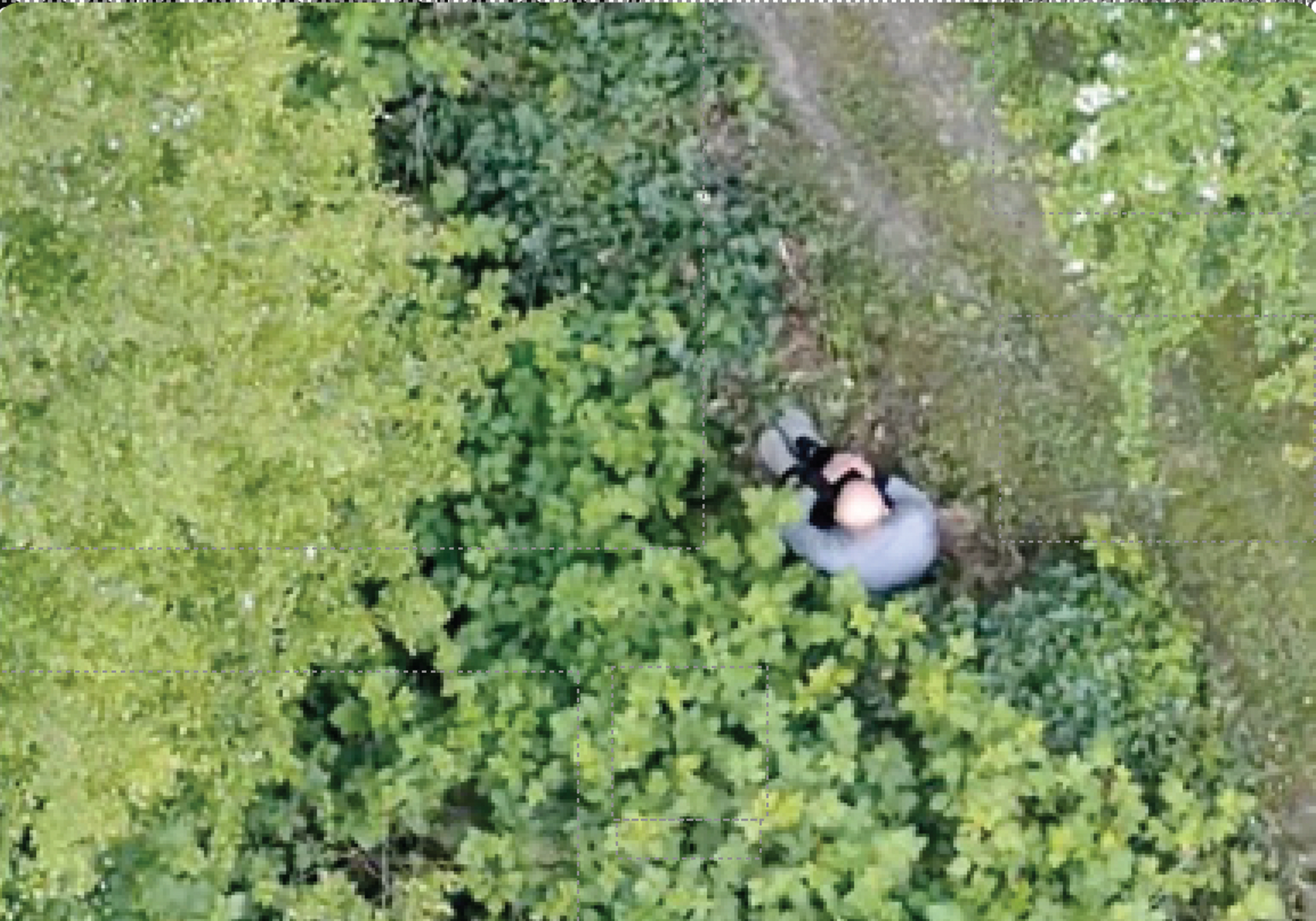 Skydio X10 aids in locating missing man