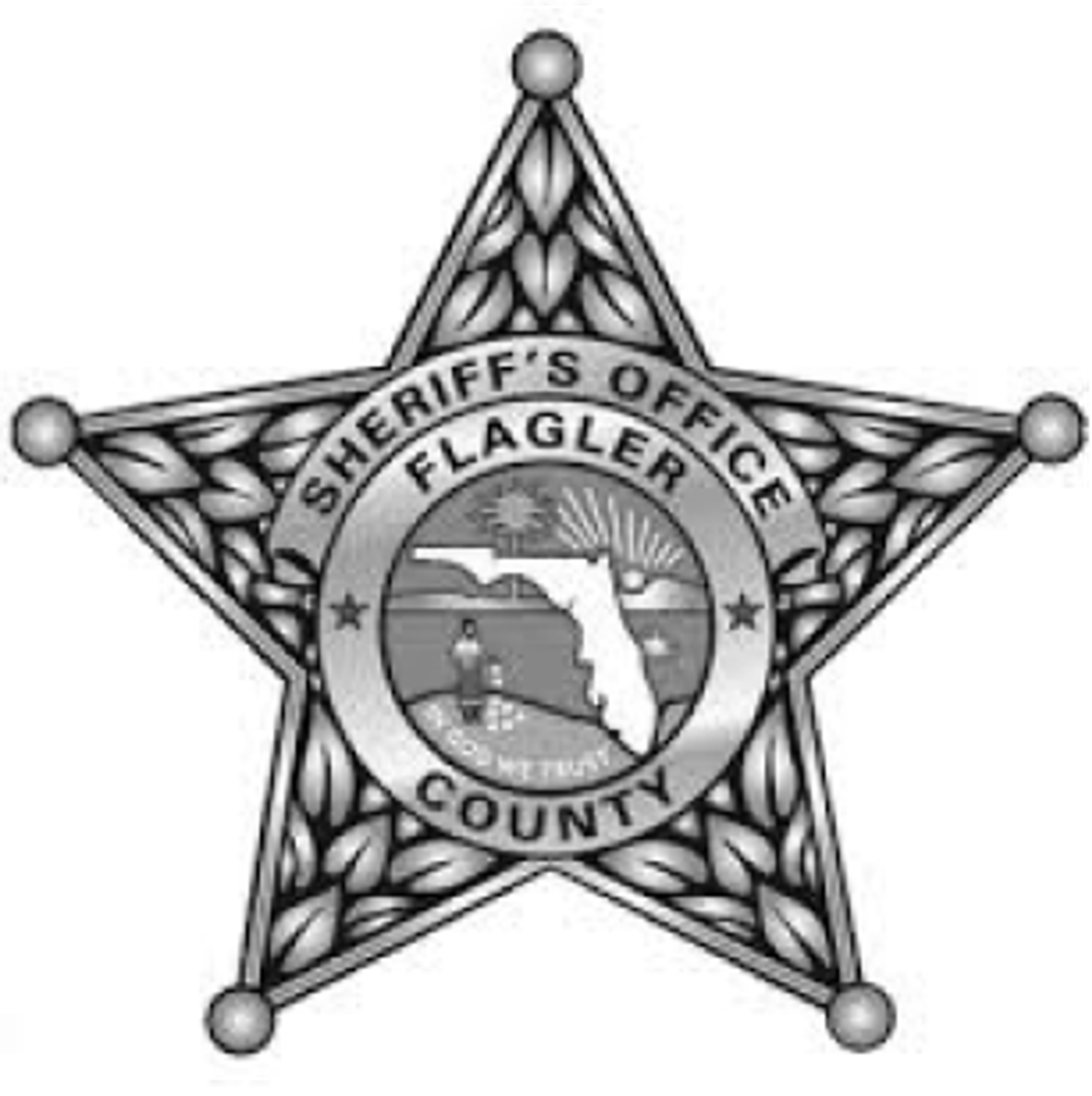 badge of Flagler County Sheriff’s Office, a Skydio Aerial Achievement Award nominee