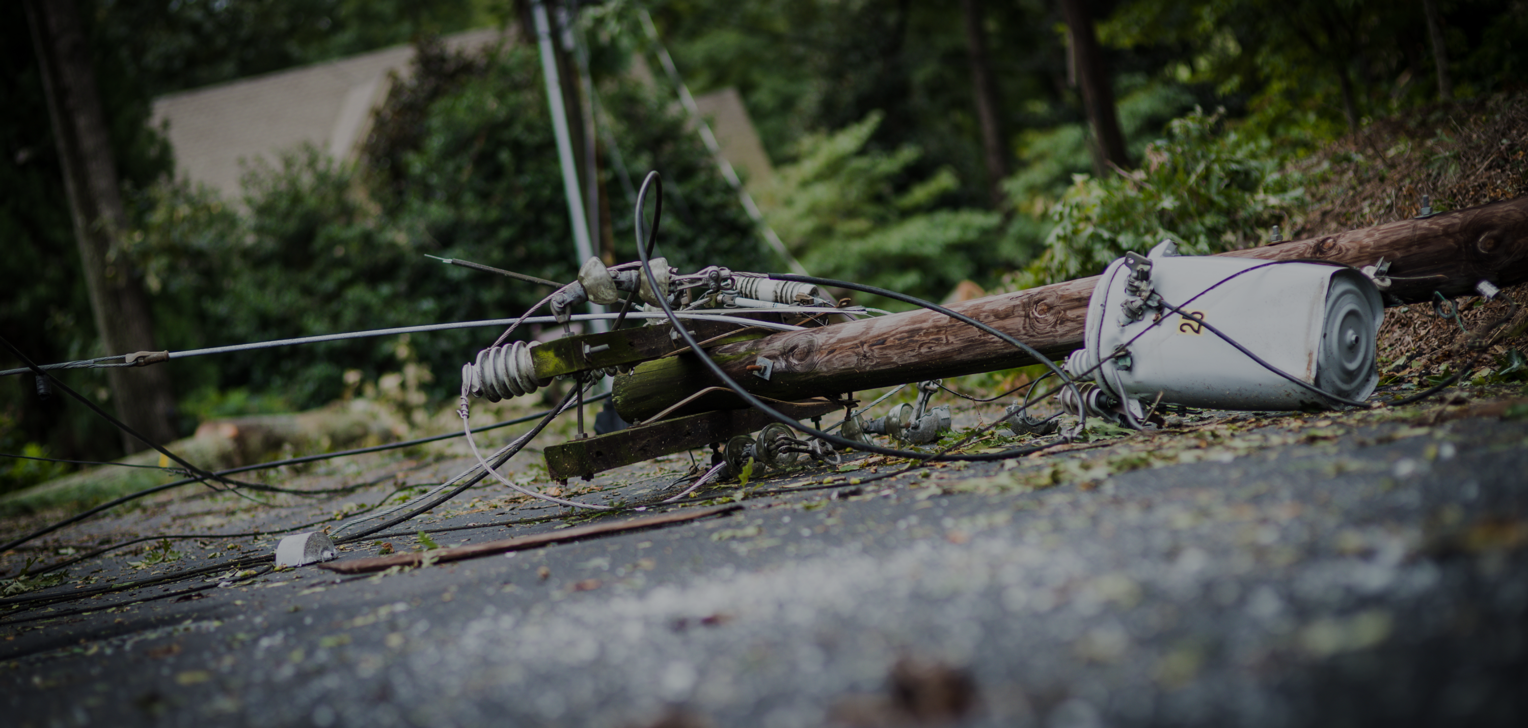 downed power line