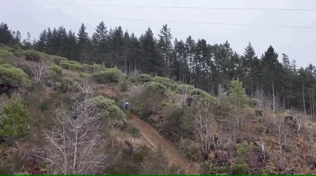 Downhill mountain biking with Skydio 2