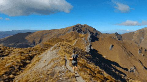 New Zealand Ridge Running