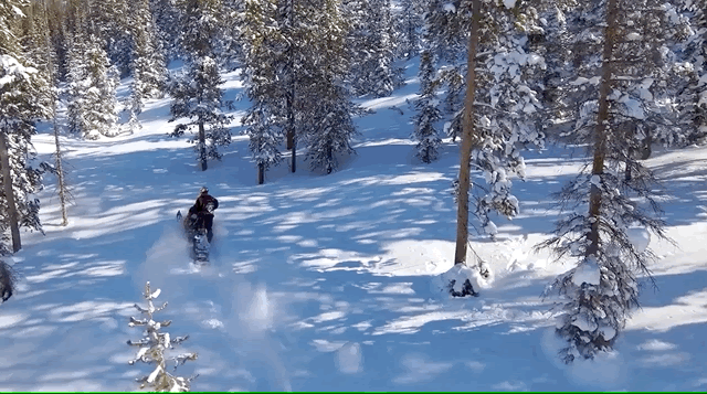 Flying your autonomous drone in trees while snowmobiling
