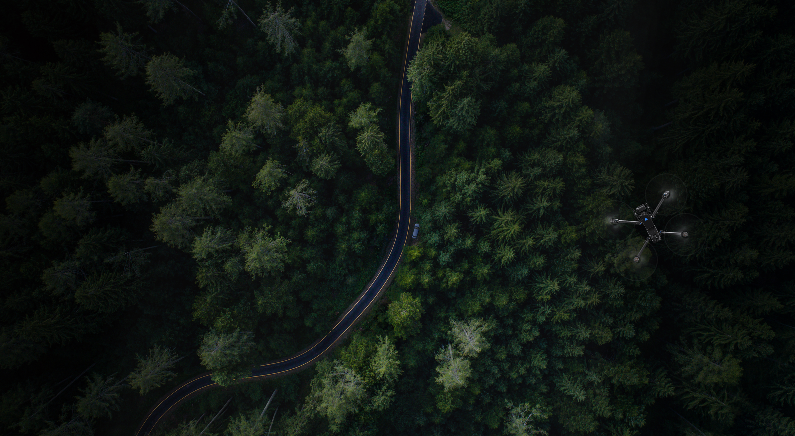 Wide view of a Skydio drone flying above remote rural forested location