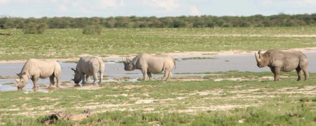 Kuzikus Wildlife Reserve