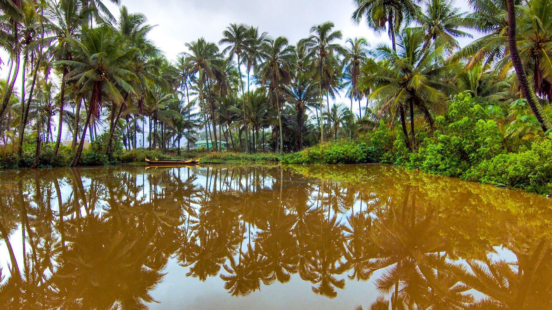 skydio 2 hawaii reflection