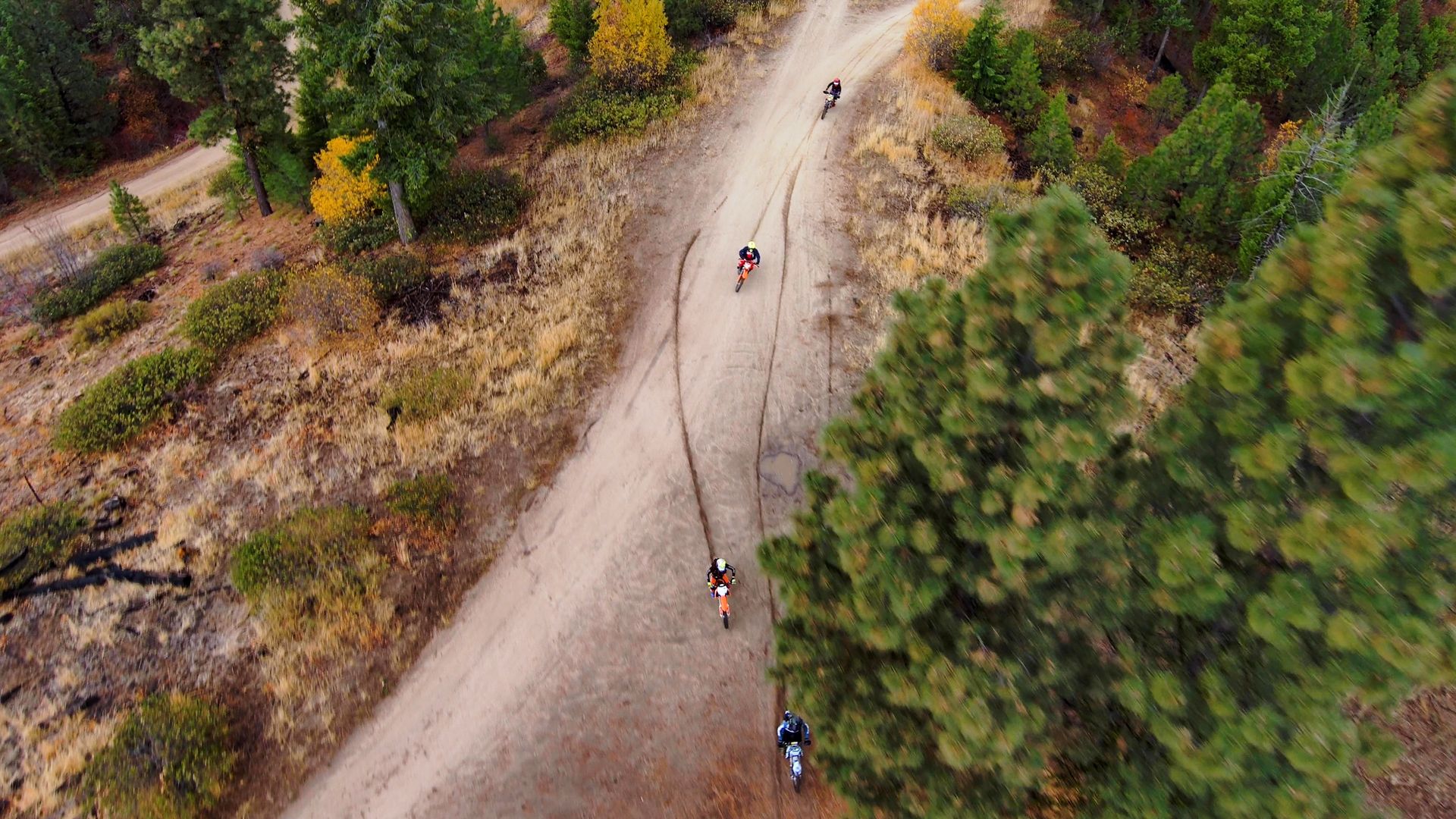 Skydio filming in trees