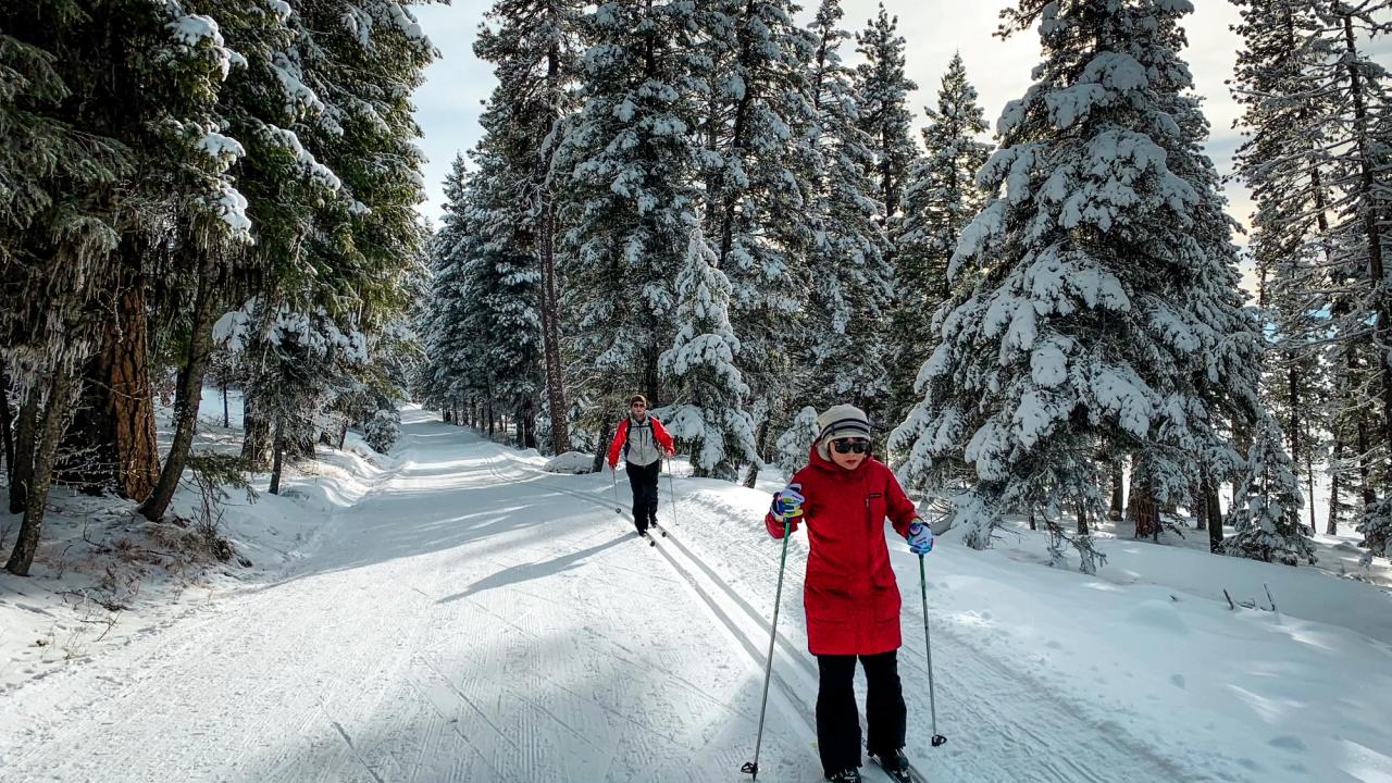 Alice Cheng Skiing SKydio 2 Follow Drone