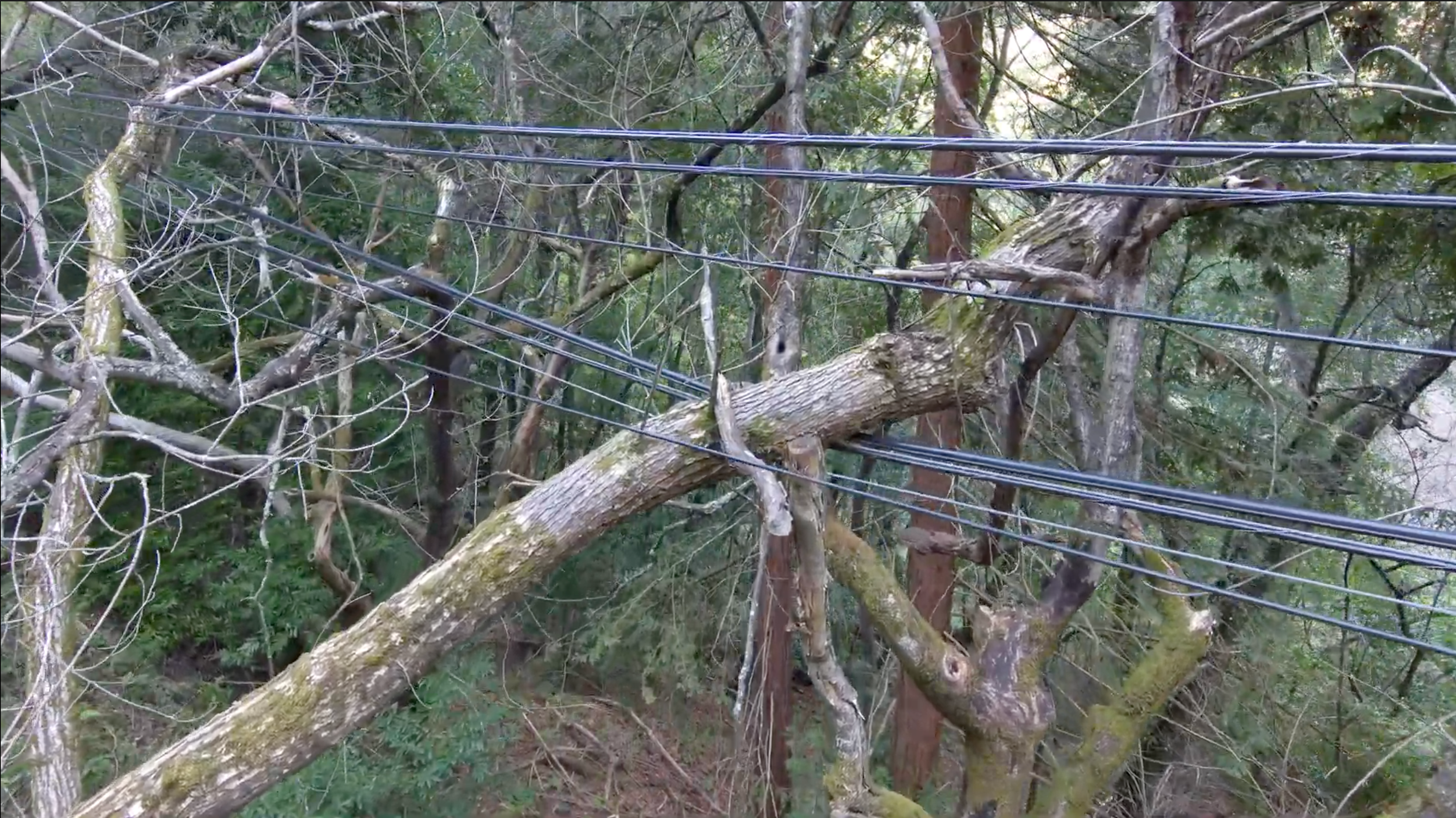 post storm reliability inspection team inspecting lines