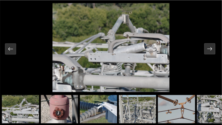 Remote Ops: Fly your Drone Fleet Remotely from a Browser | Skydio