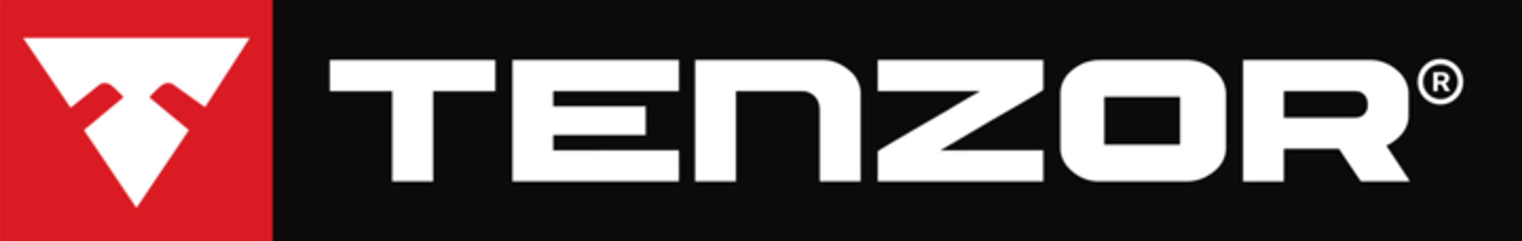 Tenzor logo