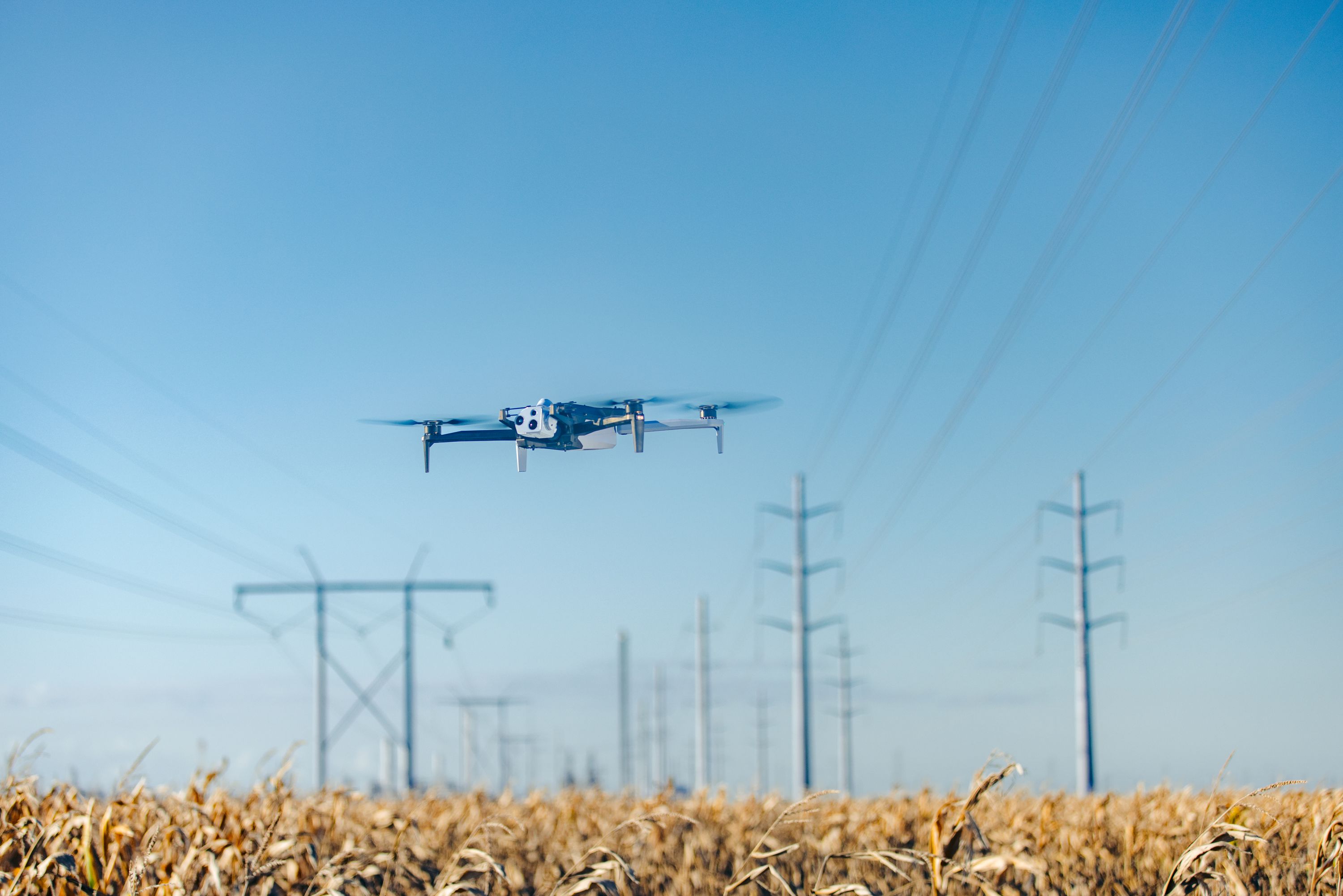 Skydio X10 flying over vast cornfield 