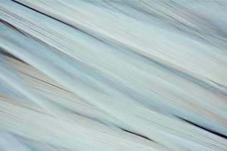 abstract photograph of a white and blue abstract painting
