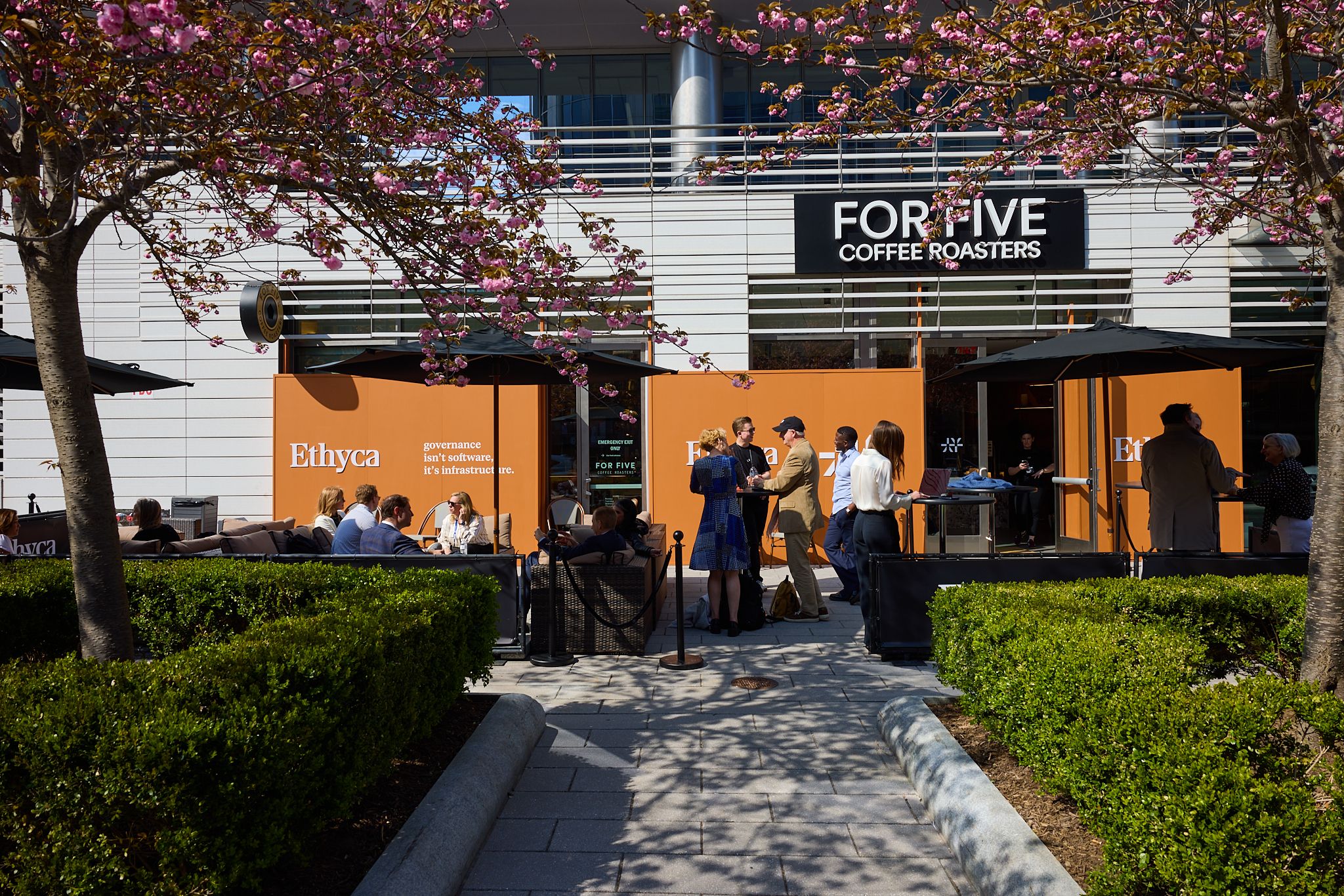 Cafe terrace with cherry blossoms, bushes and people talking in a crowd.