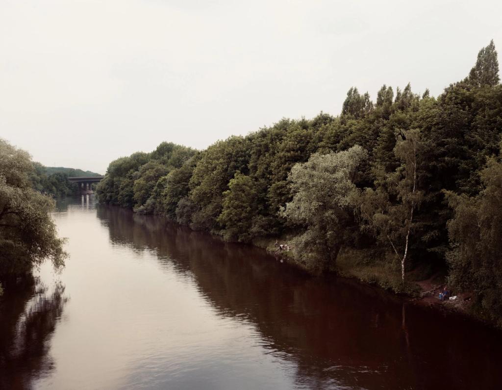 A calm river with dark water, a dense green forest running along the right bank