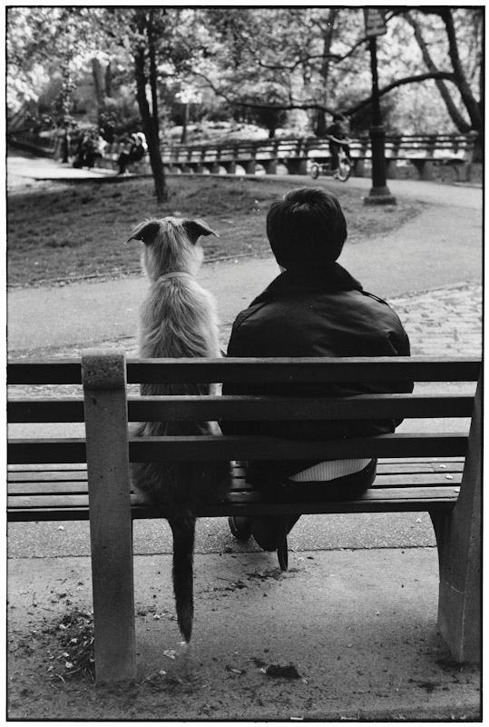 A person and a shaggy dog sit side by side on a park bench, their backs to the camera