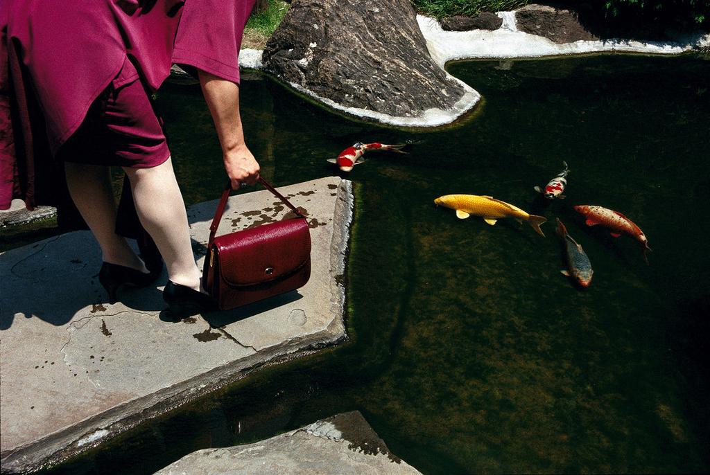 A woman in pink leaning over a pond of multicoloured koi carp