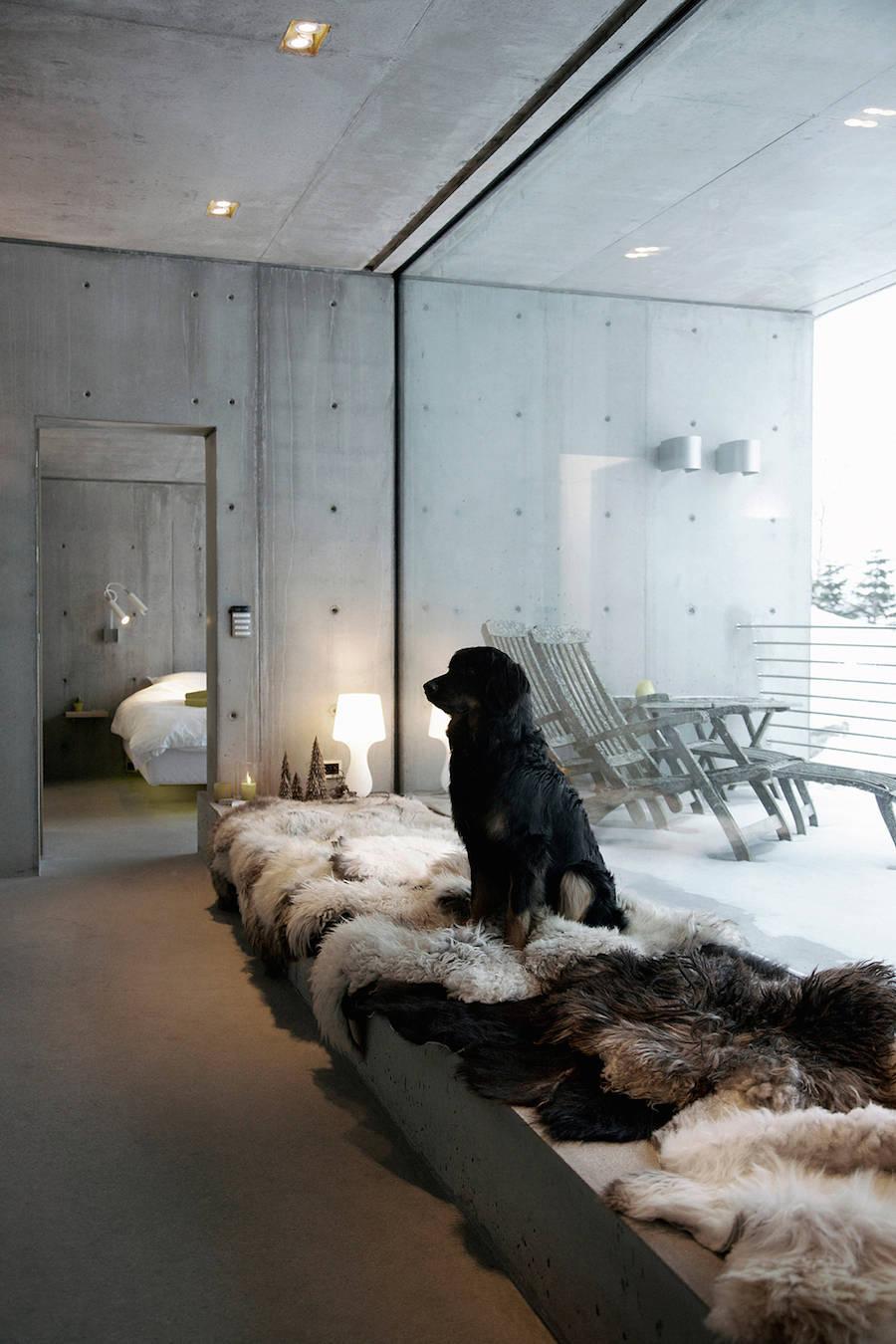 A concrete interior with a dog resting on sheepskins beside a panoramic window, a snow-covered landscape beyond