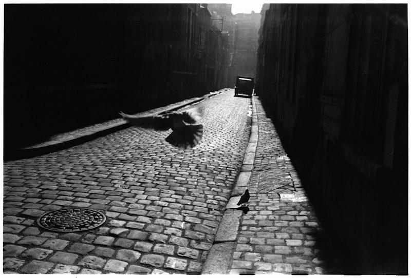 A pigeon takes flight above a cobblestone street, a solitary car visible in the distance