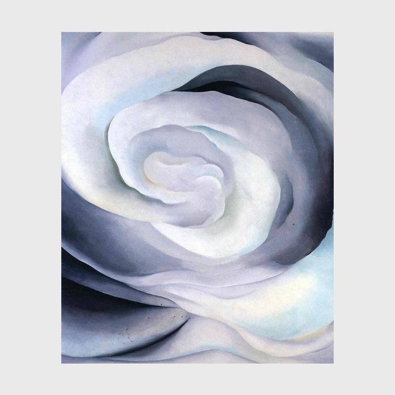 O'Keeffe painting Abstraction: a grey-blue white rose with curling petals
