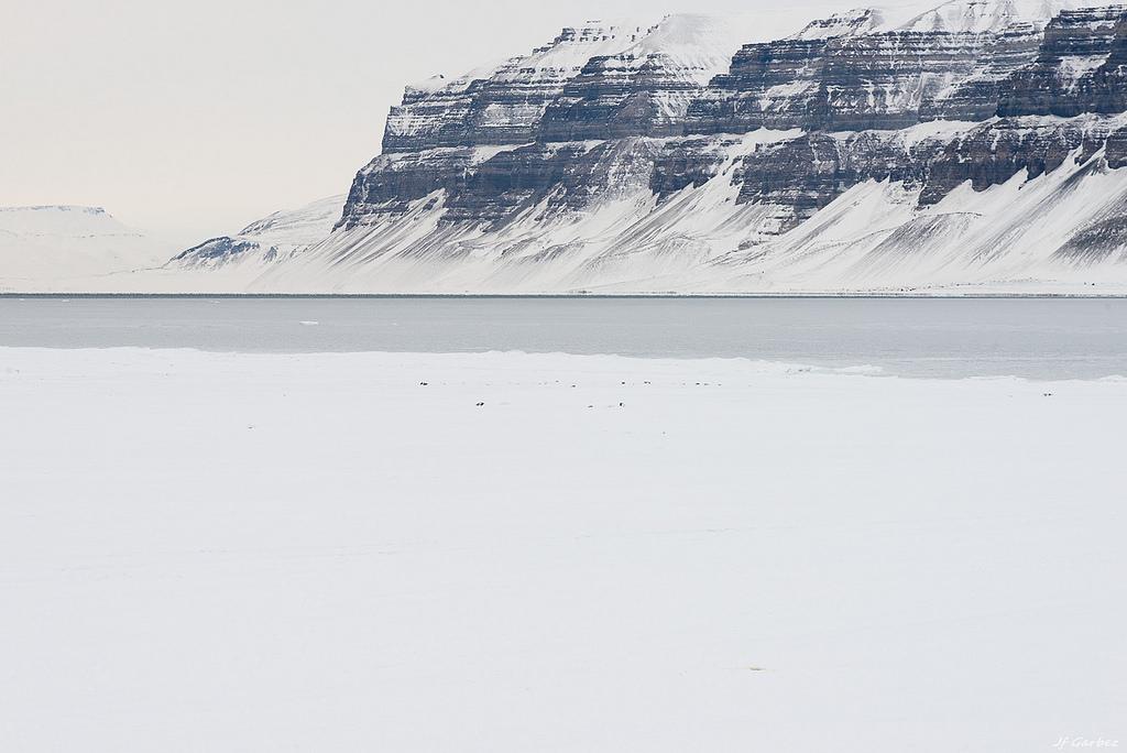 A frozen Svalbard fjord with a snow-covered plateau and an icy surface beneath an overcast sky