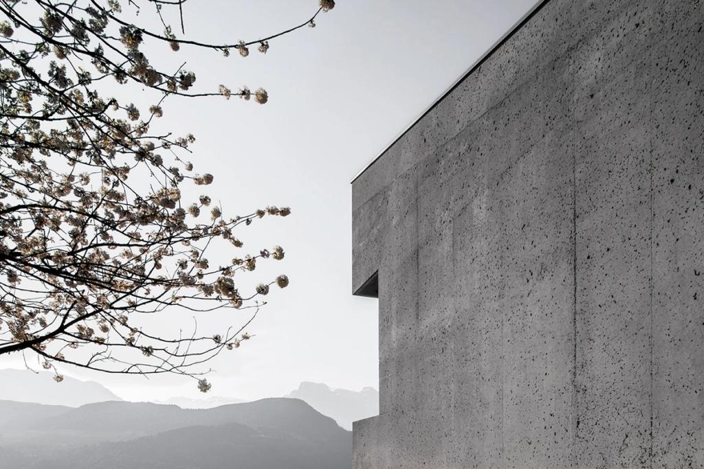 The concrete facade of the house and a flowering tree set against the silhouettes of the mountains