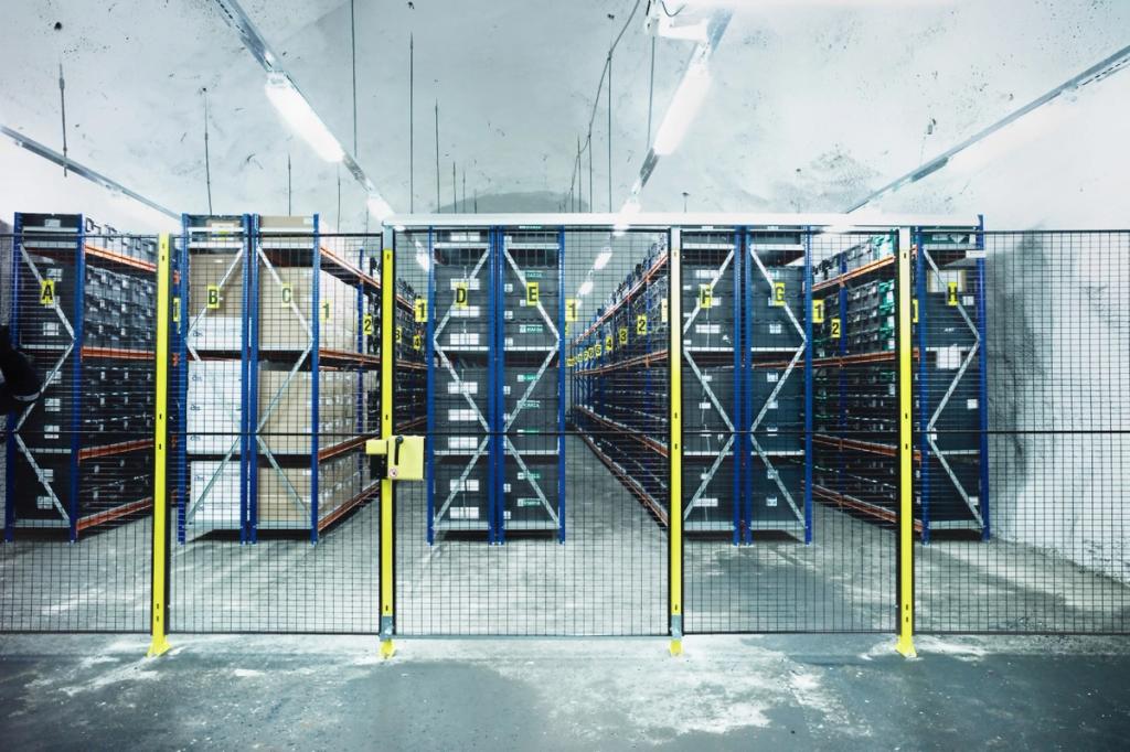 A storage chamber behind a metal grille with blue shelving units filled with boxes of seeds