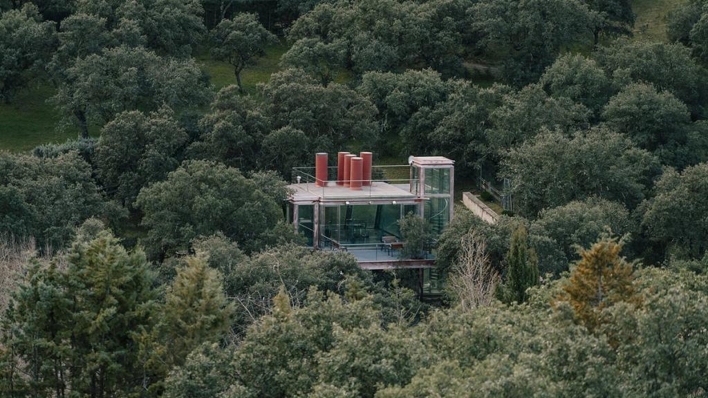 A glass-and-steel house enveloped by an oak forest, seen from a distance