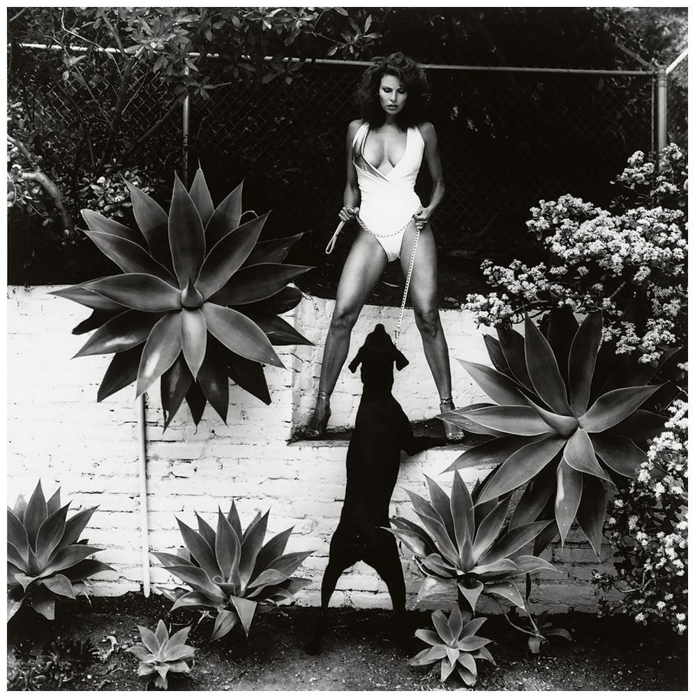 A woman in a white swimsuit stands on a white wall holding a leash, a black dog below her among agaves