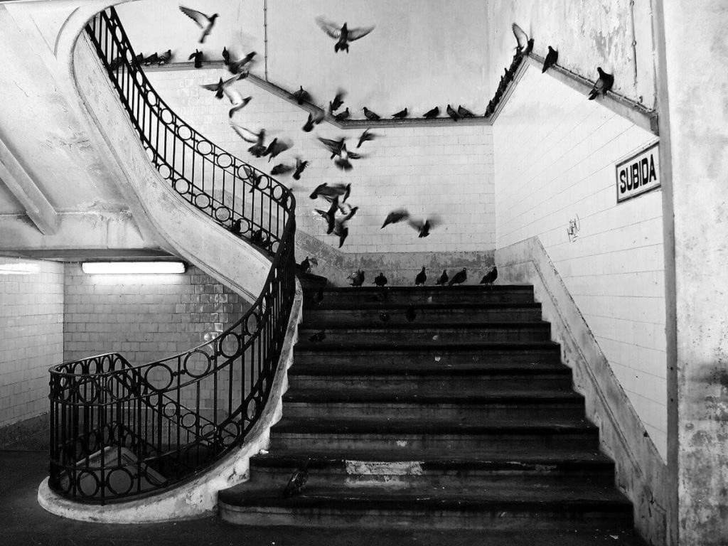 A flock of pigeons takes flight above a staircase with a spiral wrought-iron flight, next to a sign reading SUBIDA