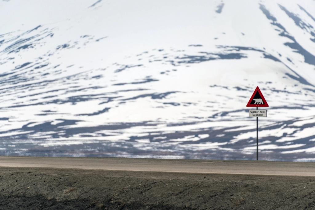 A road sign featuring a polar bear reading Gjelder hele Svalbard, set against a snow-covered mountain slope