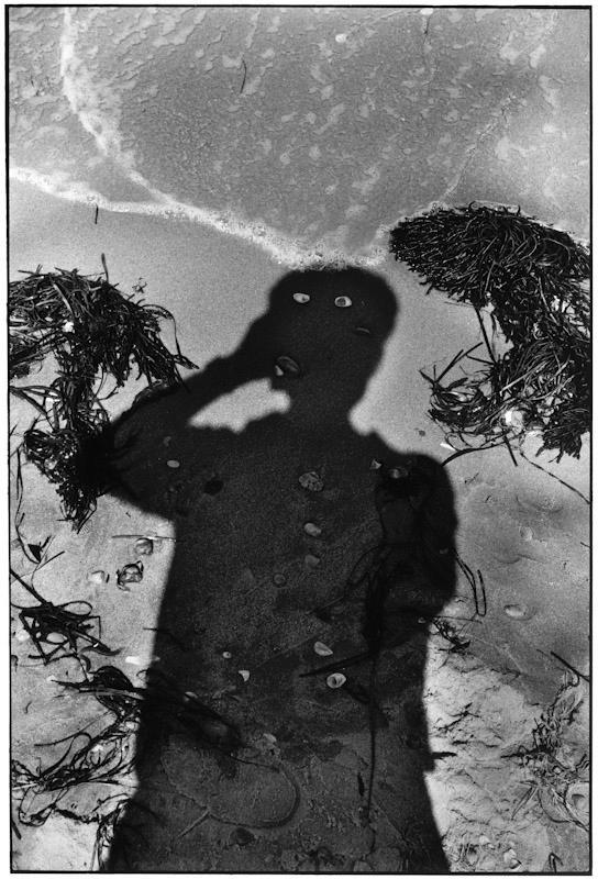 The shadow of a photographer with a camera on wet sand among shells and seaweed
