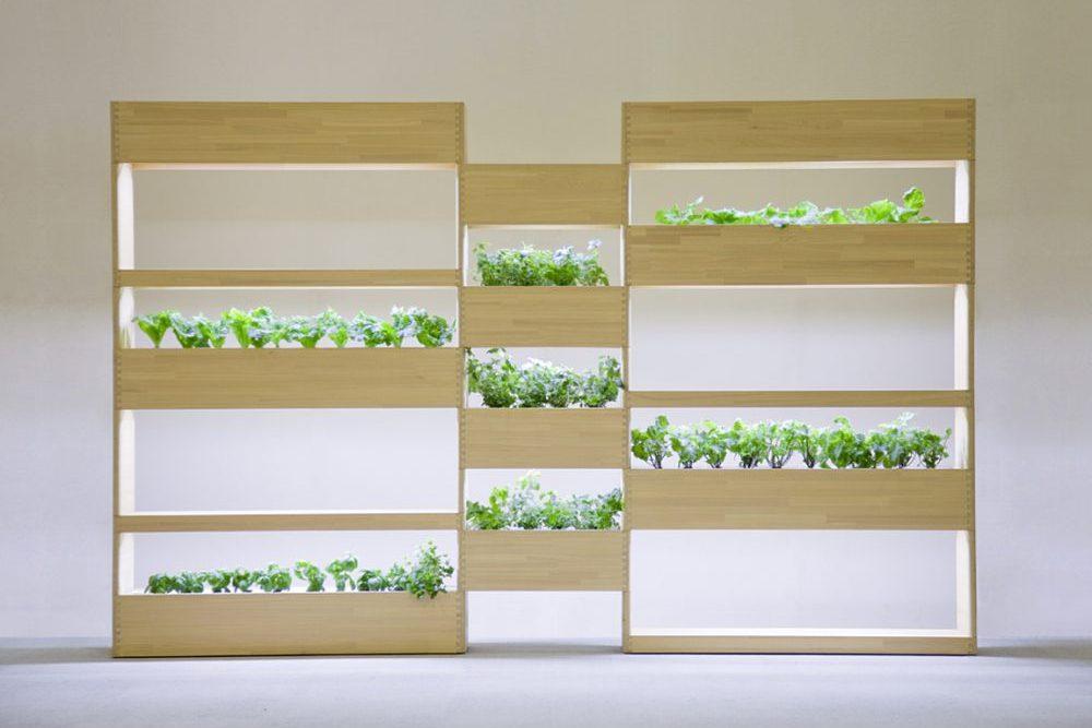 Wooden shelving unit with illuminated compartments for growing herbs