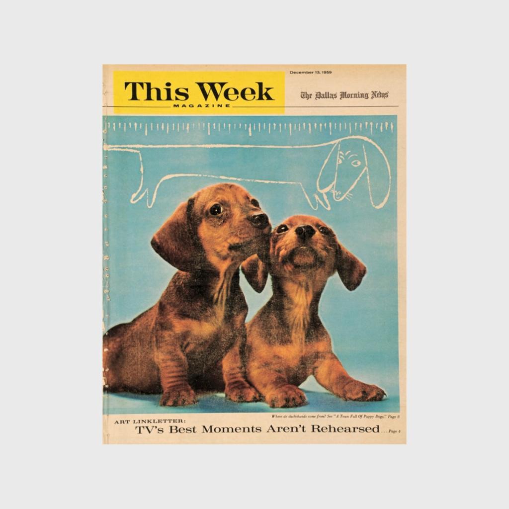 Cover of This Week magazine with two dachshund puppies on a blue background