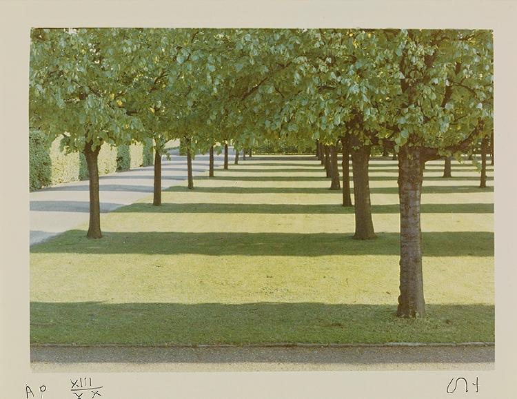 A photograph of a row of topiary trees on a green lawn