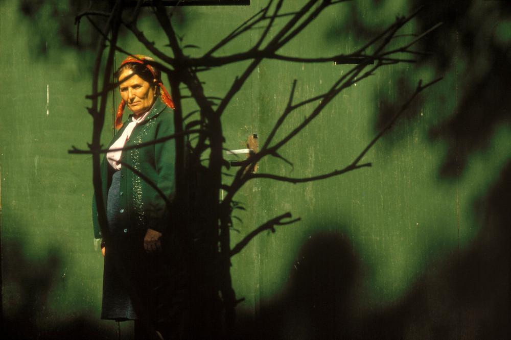 An elderly woman in a headscarf by a green wall, behind the shadow of bare tree branches